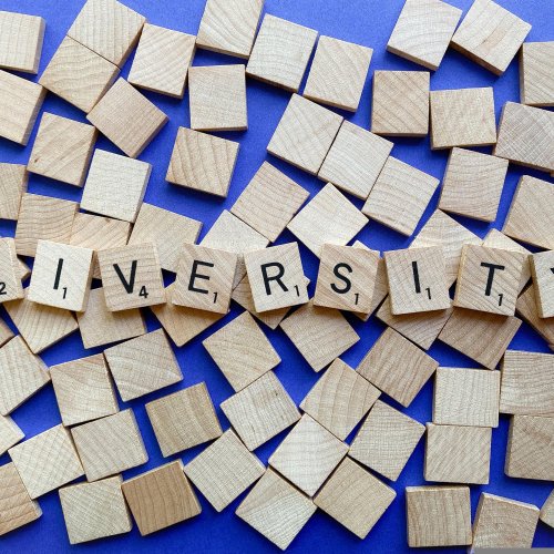 diversity-g4d7c30e81_1920