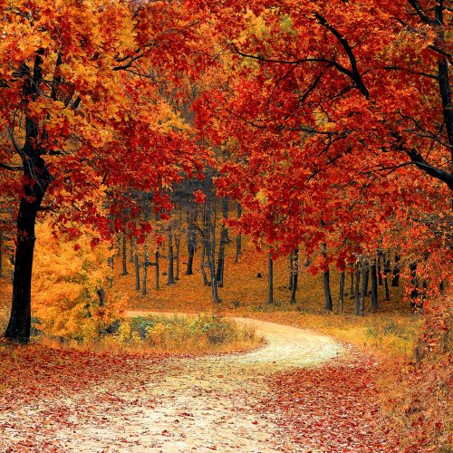 road-1072821_1920